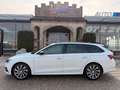 Skoda Octavia Combi 2,0 TDI 4x4 Style DSG/AHK/RFK/VIRTUAL-C./... Weiß - thumbnail 5