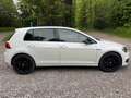 Volkswagen Golf 2.0 TDI 150 BlueMotion Technology FAP Carat - thumbnail 7