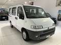 Fiat Ducato Ducato 1.9 T.D. diesel PC Combi 9 posti NO CLIMA Bianco - thumbnail 3