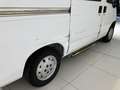 Fiat Ducato Ducato 1.9 T.D. diesel PC Combi 9 posti NO CLIMA Bianco - thumbnail 4