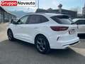 Ford Kuga Kuga 2.5 Full Hybrid 180 CV CVT 2WD ST-Line X Weiß - thumbnail 2