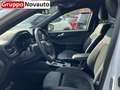 Ford Kuga Kuga 2.5 Full Hybrid 180 CV CVT 2WD ST-Line X Weiß - thumbnail 11