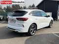 Ford Kuga Kuga 2.5 Full Hybrid 180 CV CVT 2WD ST-Line X Weiß - thumbnail 4