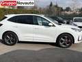 Ford Kuga Kuga 2.5 Full Hybrid 180 CV CVT 2WD ST-Line X Weiß - thumbnail 8