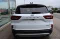 Ford Kuga Titanium 2.5 FHEV neues MODELL auf Lager Weiß - thumbnail 8