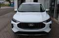 Ford Kuga Titanium 2.5 FHEV neues MODELL auf Lager Weiß - thumbnail 3