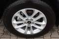 Ford Kuga Titanium 2.5 FHEV neues MODELL auf Lager Weiß - thumbnail 2