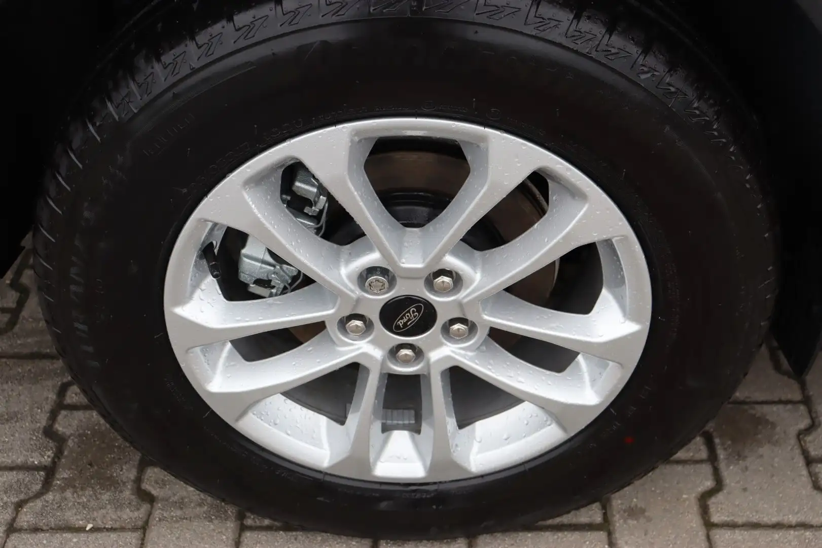 Ford Kuga Titanium 2.5 FHEV neues MODELL auf Lager Weiß - 2