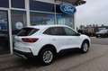 Ford Kuga Titanium 2.5 FHEV neues MODELL auf Lager Weiß - thumbnail 7