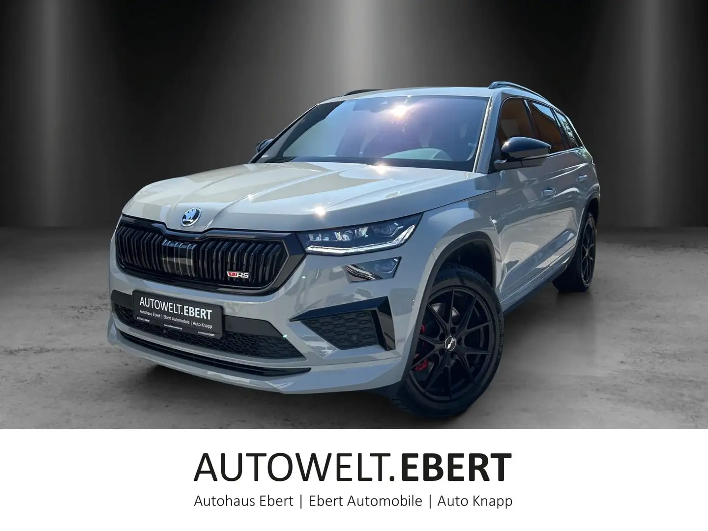 Skoda Kodiaq 2.0 TSI RS 4x4 Grau - 1