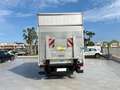 Iveco Daily Cabina singola 35 C ... Passo 3450 Wit - thumbnail 5