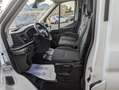 Ford Transit FT 350 L4 Van Trend Tracción Trasera 170 Blanc - thumbnail 6