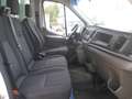 Ford Transit frigo Weiß - thumbnail 11