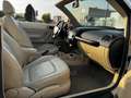 Volkswagen New Beetle New Beetle Cabriolet 1.9 TDI Білий - thumbnail 15