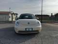 Volkswagen New Beetle New Beetle Cabriolet 1.9 TDI Білий - thumbnail 5