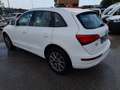 Audi Q5 Q5 2.0 tdi quattro 177cv s-tronic Bianco - thumbnail 7