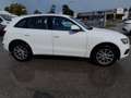 Audi Q5 Q5 2.0 tdi quattro 177cv s-tronic Bianco - thumbnail 4