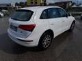 Audi Q5 Q5 2.0 tdi quattro 177cv s-tronic Bianco - thumbnail 5