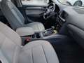 Audi Q5 Q5 2.0 tdi quattro 177cv s-tronic Bianco - thumbnail 13