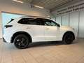 Volkswagen Tiguan R-Line 1.5 eTSI DSG AHK, PANO, El. Heckklappe Weiß - thumbnail 7