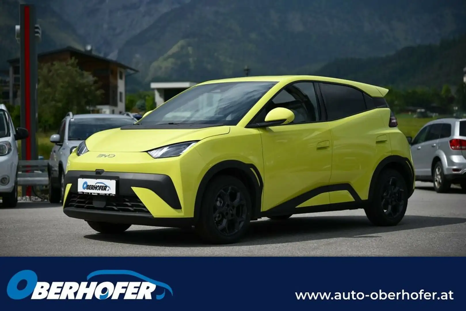 BYD Sonstige Comfort Grün - 1