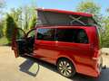 Mercedes-Benz Marco Polo Marco Polo Activity 300 d lang 4MATIC Aut. Rot - thumbnail 3