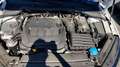 Skoda Octavia SW 2.0tdi evo Executive DSG UNIPRO IVA DEDUCIBILE Wit - thumbnail 16
