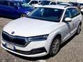 Skoda Octavia SW 2.0tdi evo Executive DSG UNIPRO IVA DEDUCIBILE Wit - thumbnail 1