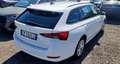 Skoda Octavia SW 2.0tdi evo Executive DSG UNIPRO IVA DEDUCIBILE Wit - thumbnail 5