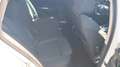 Skoda Octavia SW 2.0tdi evo Executive DSG UNIPRO IVA DEDUCIBILE Wit - thumbnail 9
