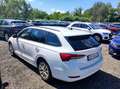 Skoda Octavia SW 2.0tdi evo Executive DSG UNIPRO IVA DEDUCIBILE Wit - thumbnail 4