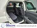 Hyundai Inster Cross 49 kWh EFFIZIENZ-PAKET SOFORT VERFÜGBAR Biały - thumbnail 9