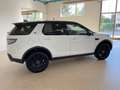 Land Rover Discovery Sport 2.0 TD4 150 CV 2wd BLACK PACK+XENO+NAVI+CERCHI18" Bianco - thumbnail 8