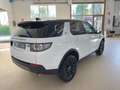 Land Rover Discovery Sport 2.0 TD4 150 CV 2wd BLACK PACK+XENO+NAVI+CERCHI18" Bianco - thumbnail 7