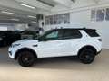 Land Rover Discovery Sport 2.0 TD4 150 CV 2wd BLACK PACK+XENO+NAVI+CERCHI18" Bianco - thumbnail 5