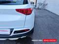 DR Automobiles DR F35 DR F35 1.5 turbo Gpl 149cv Weiß - thumbnail 19