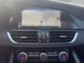 Alfa Romeo Giulia 2.0 Turbo 16V Ti Q4 +KeyLess+Pano+Kam. Gris - thumbnail 19