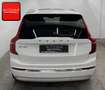 Volvo XC90 T8 INSCRIPTION RECH AWD 7SITZ+PANO+AHK+MEMO Alb - thumbnail 7
