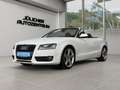 Audi A5 Cabriolet 2.0 TFSI, S-Line, Guter Zustand Weiß - thumbnail 4