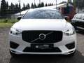 Volvo XC60 Recharge T8 AWD R-Design LED PANO 360° Weiß - thumbnail 3