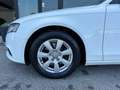 Audi A4 Avant 2.0 TDI 143CV F.AP. multitronic Advanced Bianco - thumbnail 15