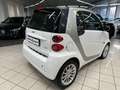 smart forTwo 1000 52 kW MHD coupé passion NEOPATENTATO Bianco - thumbnail 3