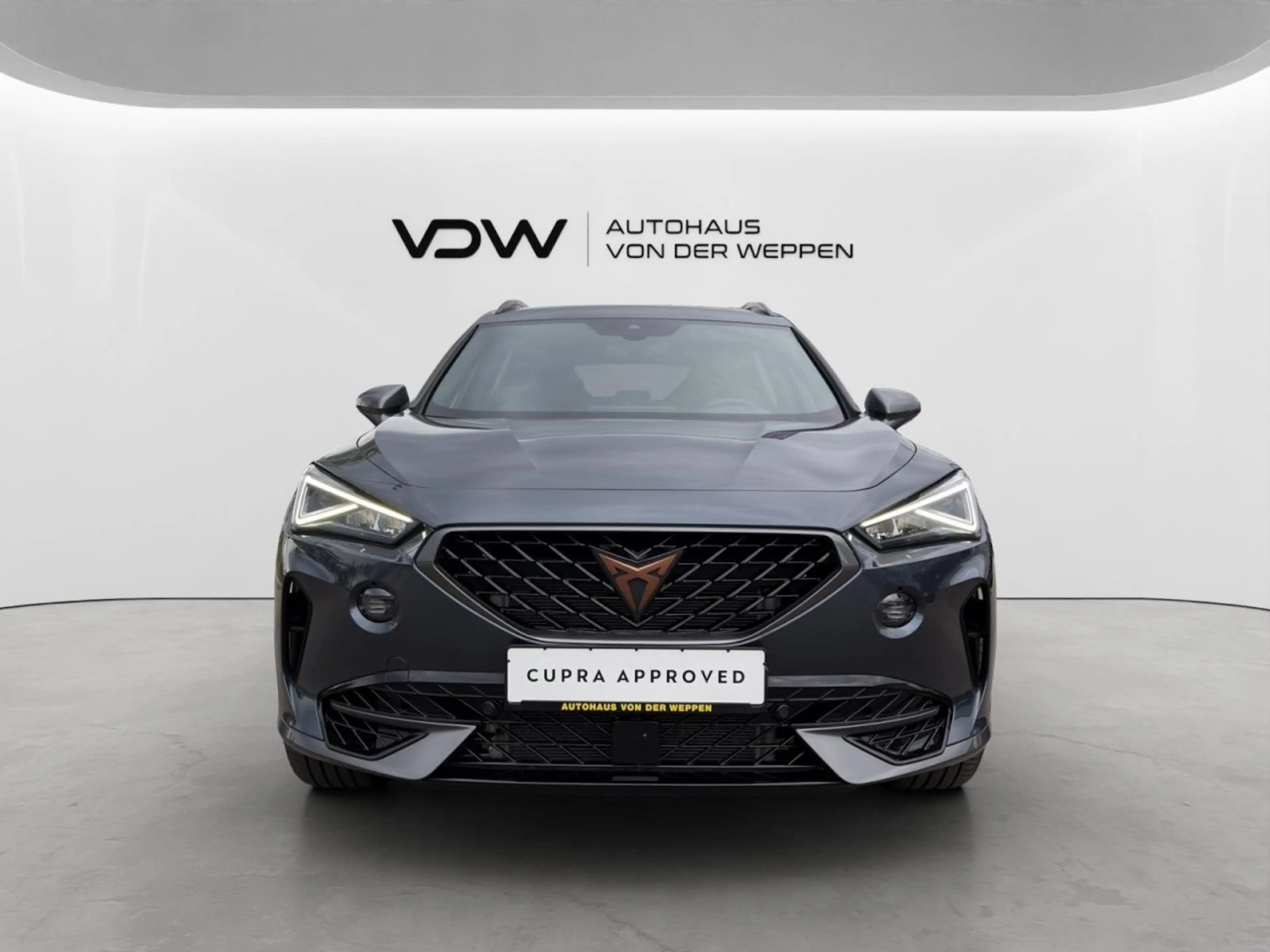 CUPRA Formentor VZ 4Drive Navi eHeck ACC SHZ Memory — photo 2