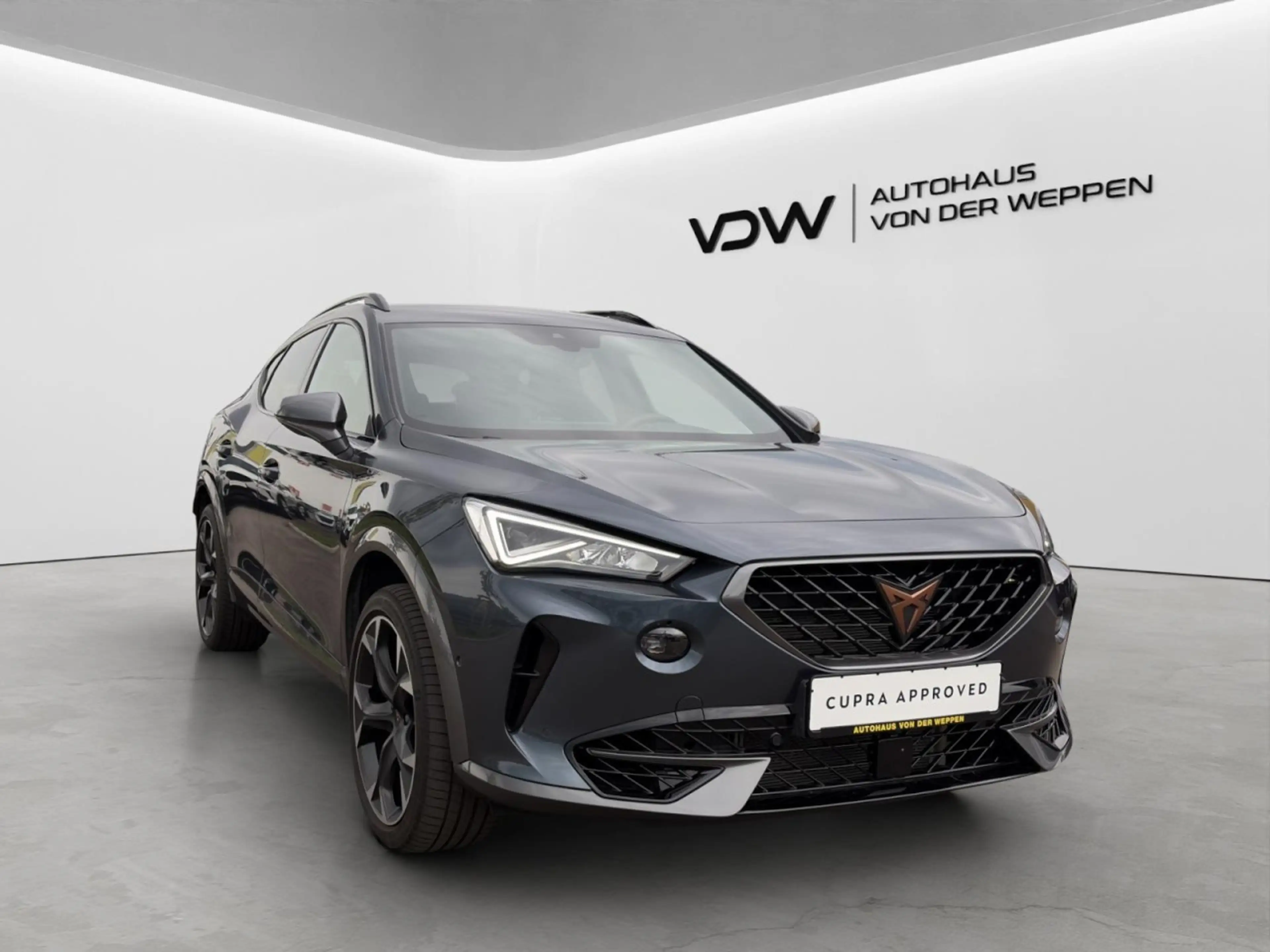 CUPRA Formentor VZ 4Drive Navi eHeck ACC SHZ Memory — photo 7