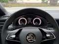 Skoda Scala Monte Carlo / Sitzheizung / Pano / Kamera Weiß - thumbnail 15