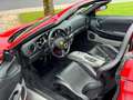 Ferrari 360 3.6 V8 Spider F1/Carbon seats/Tubi uitlaat Rood - thumbnail 8