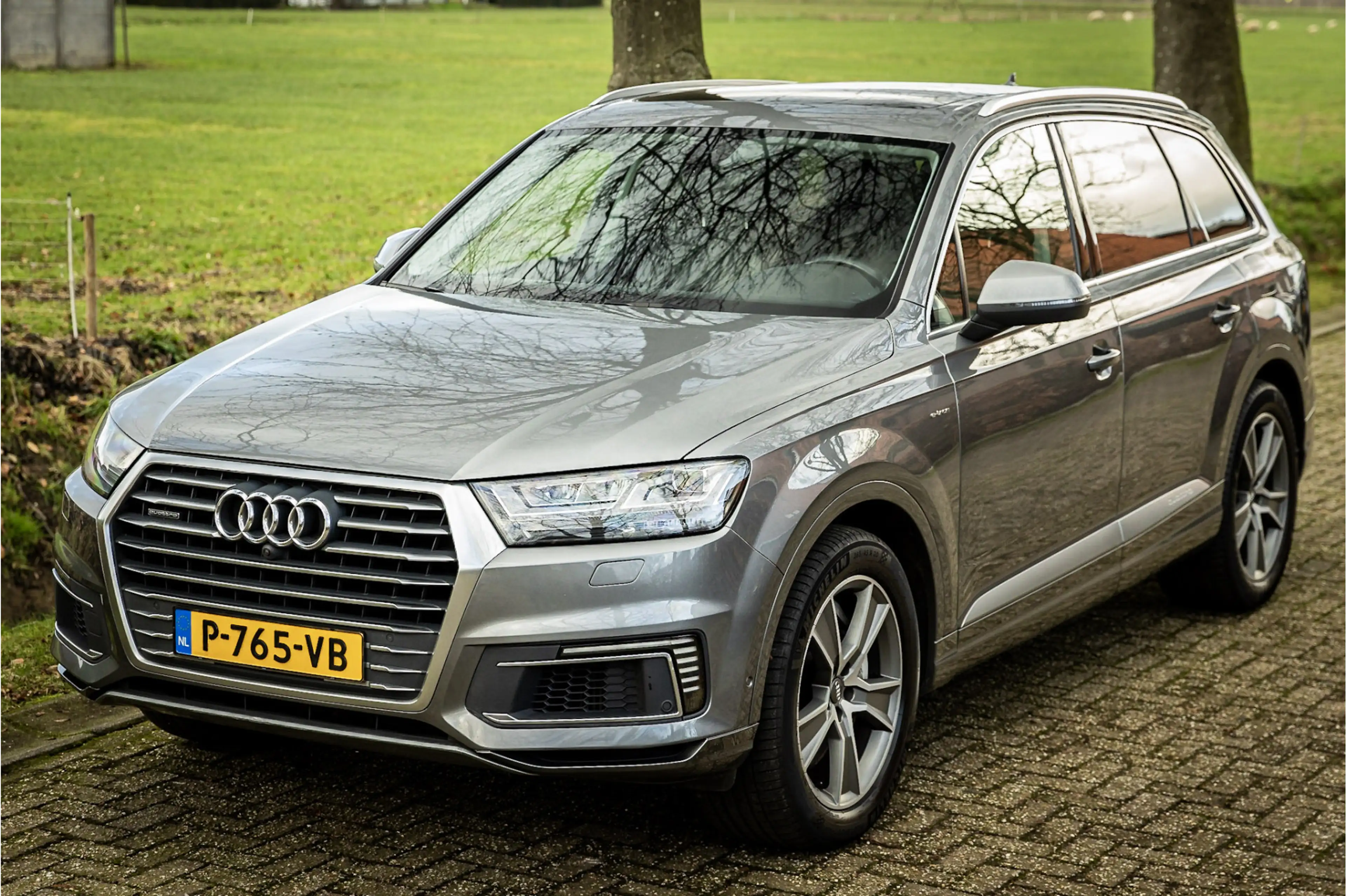 Audi Q7 e-tron 3.0 TDI Quattro Panorama Luchtvering — photo 14