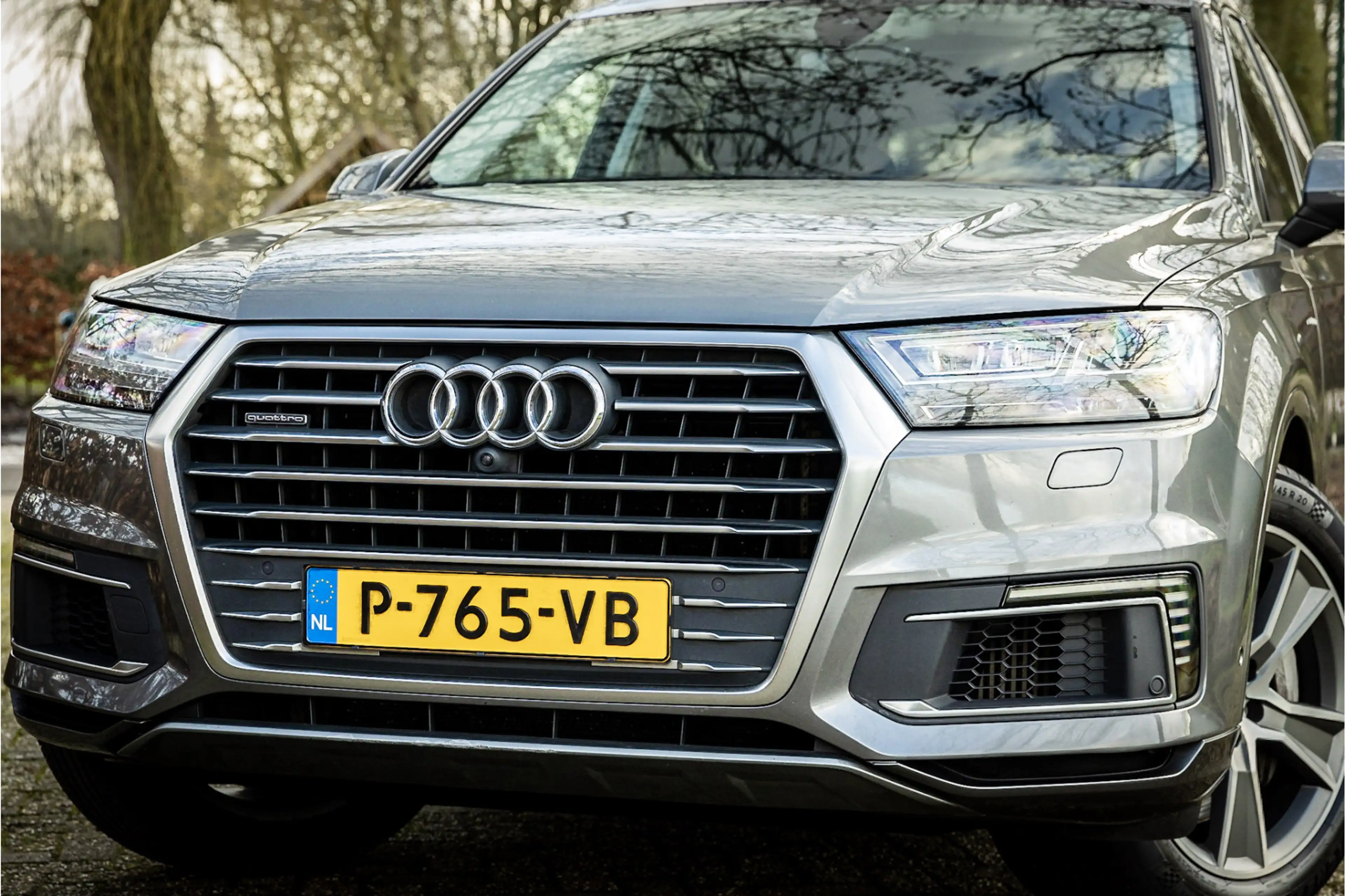 Audi Q7 e-tron 3.0 TDI Quattro Panorama Luchtvering — photo 2
