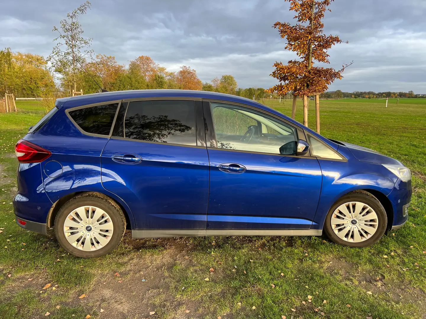 Ford C-Max C-MAX 1.5 EcoBoost Start-Stop-System Business Edit Blau - 1