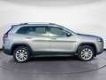 Jeep Cherokee 2.2 Mjt II 185 CV 4WD Active Drive I Longitude Grau - thumbnail 6